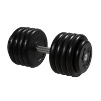 Гантель Профи, 46 кг MB Barbell MB-FdbM-B46