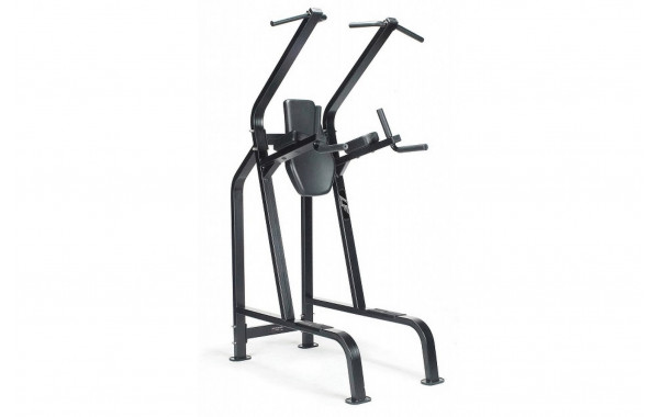 Поднятие коленей\ брусья\ подтягивание UltraGym LF-210 600_380