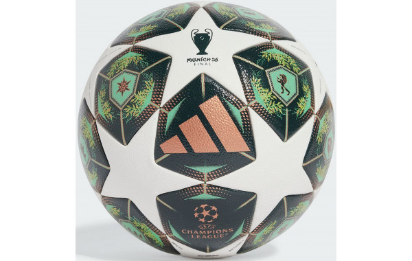 Мяч футбольный Adidas UCL Competition, FIFA Quality Pro JH1288 р.5 600_380