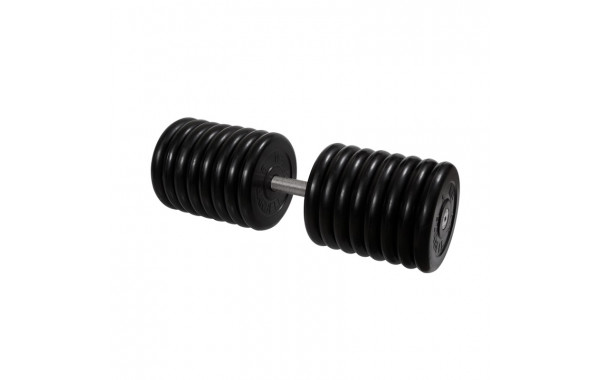 Гантель Профи, 81 кг MB Barbell MB-FdbM-B81 600_380