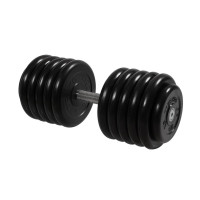 Гантель Профи, 56 кг MB Barbell MB-FdbM-B56