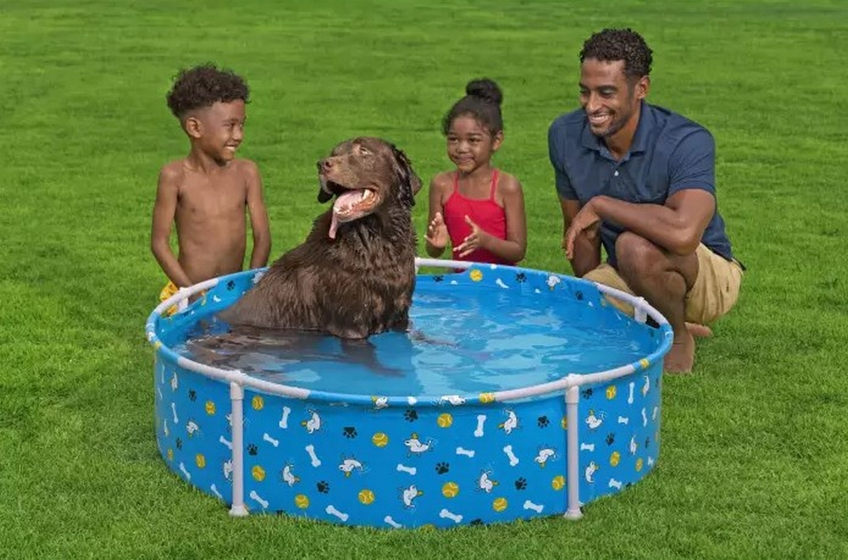 Каркасный бассейн для животных 122х30,5см Bestway Fetchin' Fun Pet Play Pool 561KM 1211_800